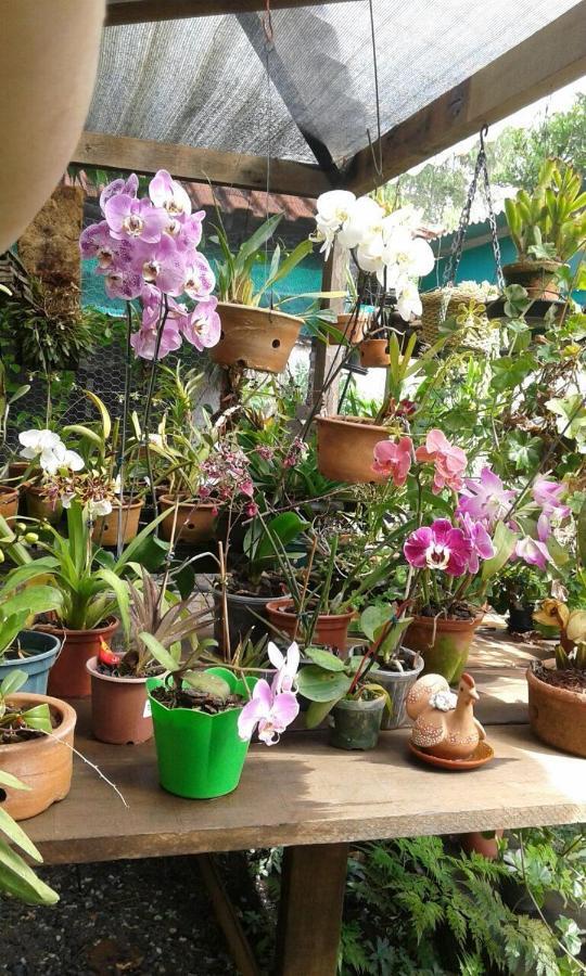 Pouso Realeza Ξενοδοχείο Tiradentes Εξωτερικό φωτογραφία